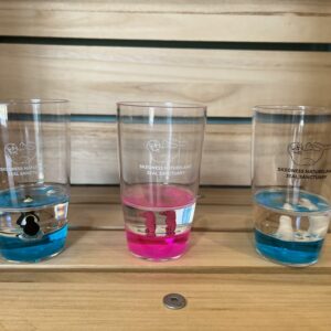 Natureland Seal Sanctuary Aqua Tumblers (Each)