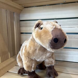 Ravensden Medium Capybara Soft Toy